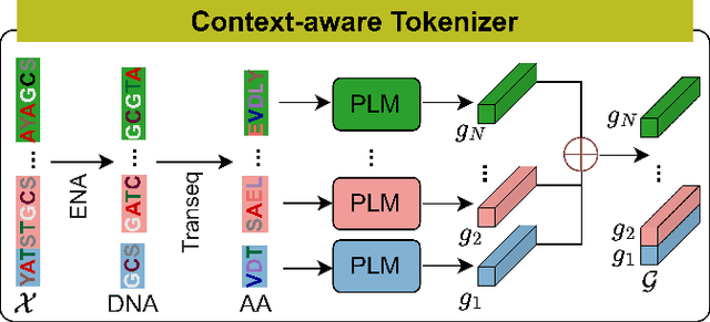 Figure 4 for FGBERT: Function-Driven Pre-trained Gene Language Model for Metagenomics