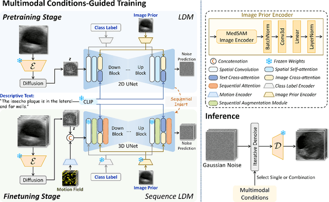 Figure 3 for Ctrl-GenAug: Controllable Generative Augmentation for Medical Sequence Classification