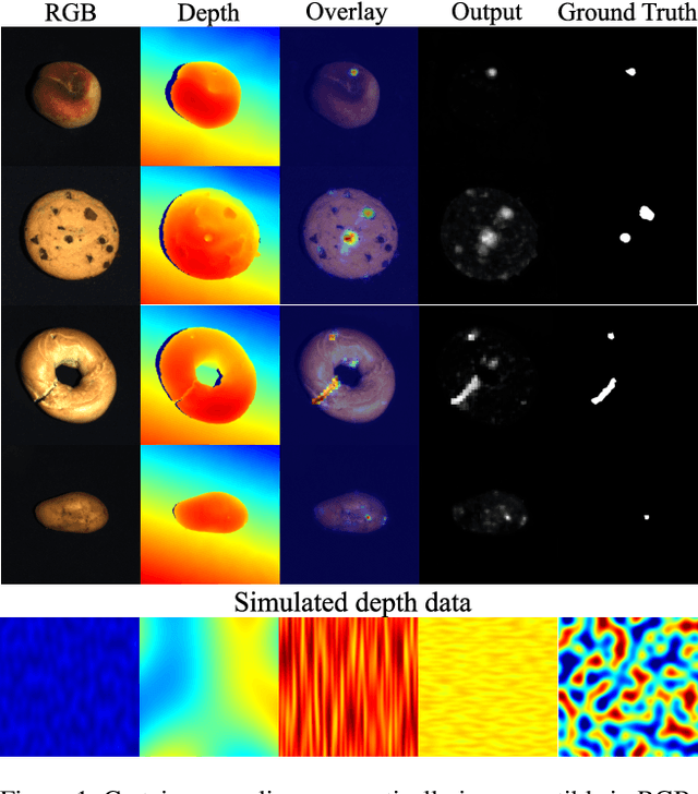 Figure 1 for Cheating Depth: Enhancing 3D Surface Anomaly Detection via Depth Simulation