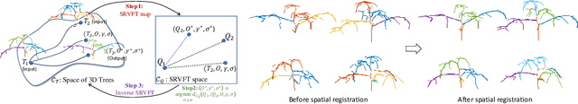 Figure 3 for A Riemannian Approach for Spatiotemporal Analysis and Generation of 4D Tree-shaped Structures