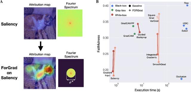 Figure 1 for Gradient strikes back: How filtering out high frequencies improves explanations