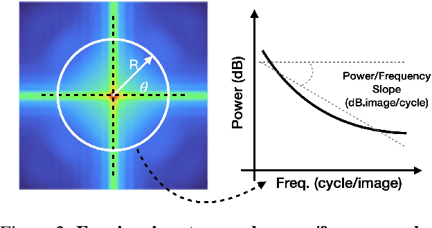 Figure 3 for Gradient strikes back: How filtering out high frequencies improves explanations