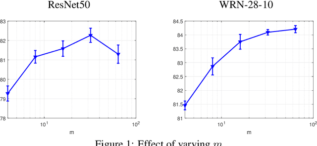 Figure 2 for Improved Deep Neural Network Generalization Using m-Sharpness-Aware Minimization