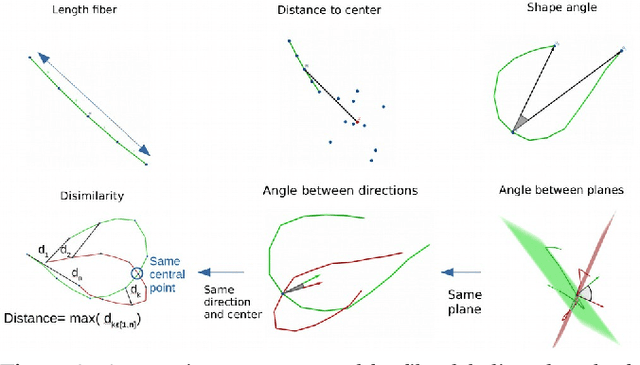 Figure 1 for GeoLab: Geometry-based Tractography Parcellation of Superficial White Matter