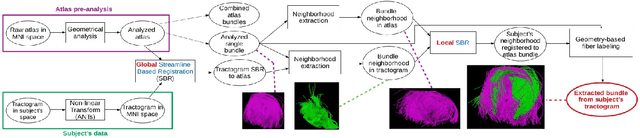 Figure 3 for GeoLab: Geometry-based Tractography Parcellation of Superficial White Matter