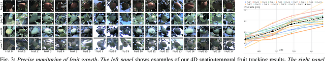 Figure 3 for 4D Metric-Semantic Mapping for Persistent Orchard Monitoring: Method and Dataset