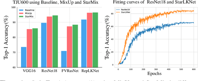 Figure 1 for StarLKNet: Star Mixup with Large Kernel Networks for Palm Vein Identification