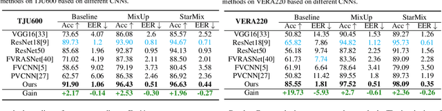 Figure 3 for StarLKNet: Star Mixup with Large Kernel Networks for Palm Vein Identification