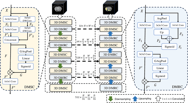 Figure 3 for DMC-Net: Lightweight Dynamic Multi-Scale and Multi-Resolution Convolution Network for Pancreas Segmentation in CT Images