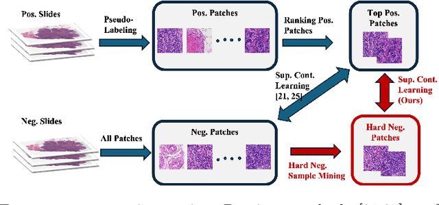 Figure 1 for Hard Negative Sample Mining for Whole Slide Image Classification