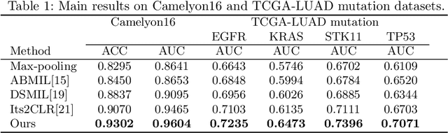 Figure 2 for Hard Negative Sample Mining for Whole Slide Image Classification