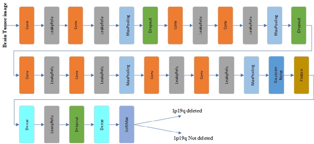 Figure 3 for Brain Tumor Classification on MRI in Light of Molecular Markers