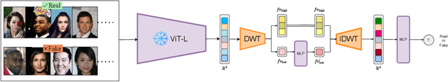 Figure 1 for Harnessing Wavelet Transformations for Generalizable Deepfake Forgery Detection