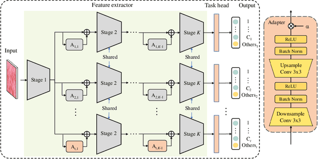 Figure 1 for Adapter Learning in Pretrained Feature Extractor for Continual Learning of Diseases