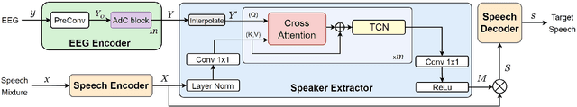 Figure 1 for NeuroSpex: Neuro-Guided Speaker Extraction with Cross-Modal Attention