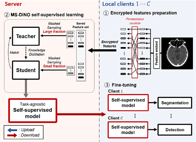 Figure 1 for MS-DINO: Efficient Distributed Training of Vision Transformer Foundation Model in Medical Domain through Masked Sampling