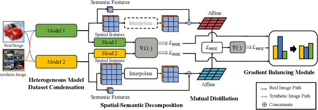 Figure 3 for Towards Model-Agnostic Dataset Condensation by Heterogeneous Models