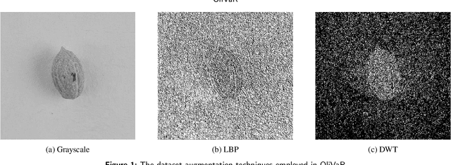 Figure 1 for OliVaR: Improving Olive Variety Recognition using Deep Neural Networks