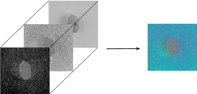 Figure 2 for OliVaR: Improving Olive Variety Recognition using Deep Neural Networks