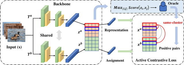 Figure 3 for Oracle-guided Contrastive Clustering