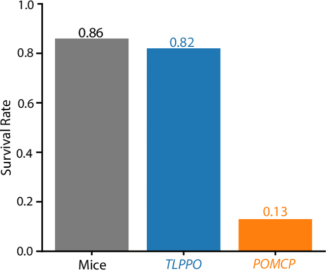 Figure 4 for Achieving mouse-level strategic evasion performance using real-time computational planning