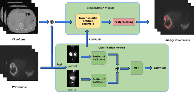 Figure 1 for Autopet III challenge: Incorporating anatomical knowledge into nnUNet for lesion segmentation in PET/CT