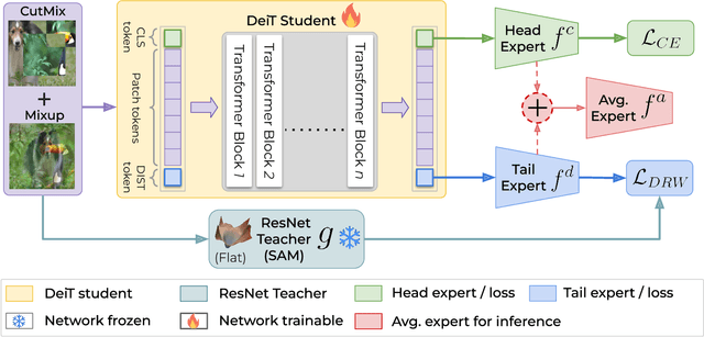 Figure 3 for DeiT-LT Distillation Strikes Back for Vision Transformer Training on Long-Tailed Datasets