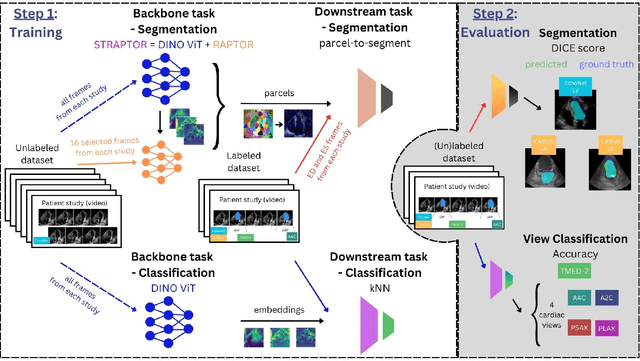 Figure 2 for Unlocking the Heart Using Adaptive Locked Agnostic Networks