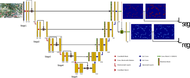 Figure 2 for AgRegNet: A Deep Regression Network for Flower and Fruit Density Estimation, Localization, and Counting in Orchards