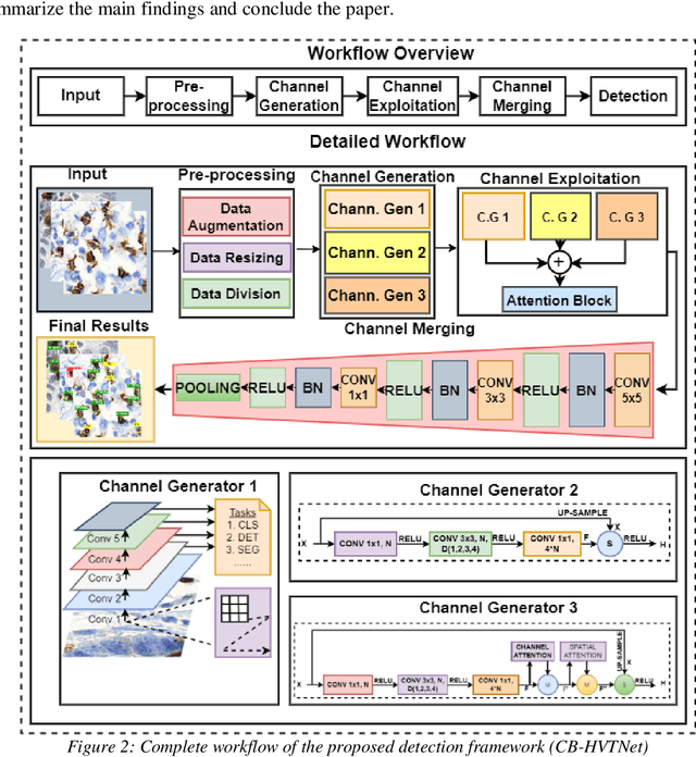 Figure 1 for CB-HVTNet: A channel-boosted hybrid vision transformer network for lymphocyte assessment in histopathological images