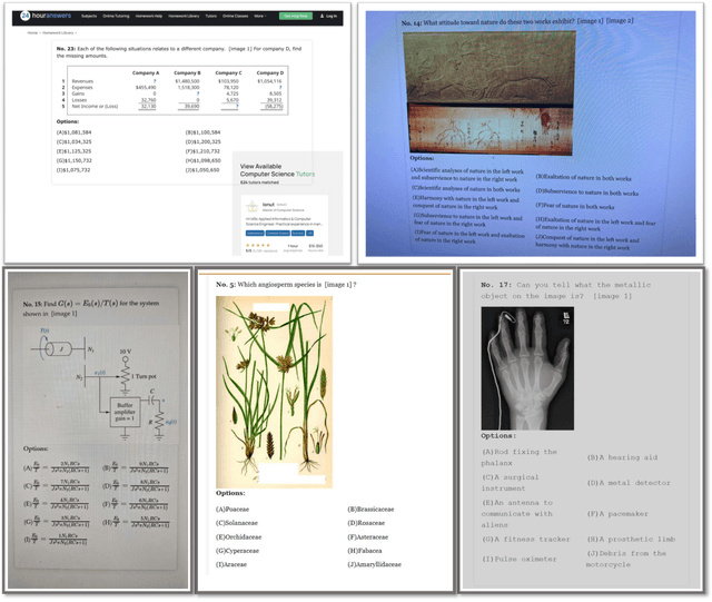 Figure 4 for MMMU-Pro: A More Robust Multi-discipline Multimodal Understanding Benchmark