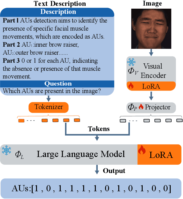 Figure 2 for Towards Unified Facial Action Unit Recognition Framework by Large Language Models