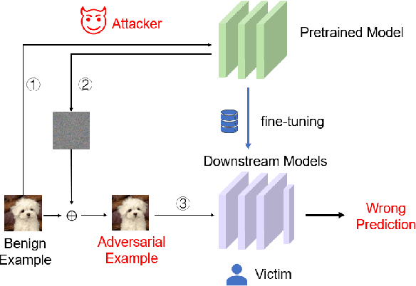 Figure 1 for Downstream Transfer Attack: Adversarial Attacks on Downstream Models with Pre-trained Vision Transformers