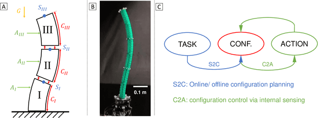 Figure 1 for S2C2A: A Flexible Task Space Planning and Control Strategy for Modular Soft Robot Arms