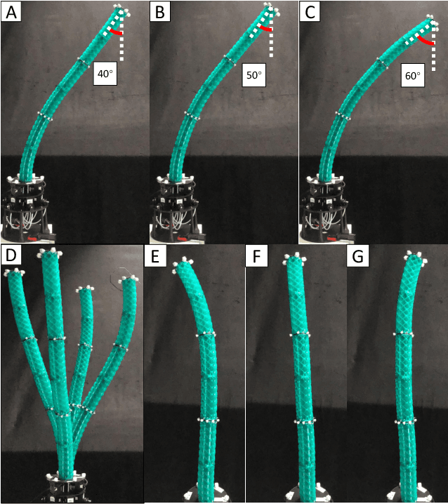 Figure 2 for S2C2A: A Flexible Task Space Planning and Control Strategy for Modular Soft Robot Arms