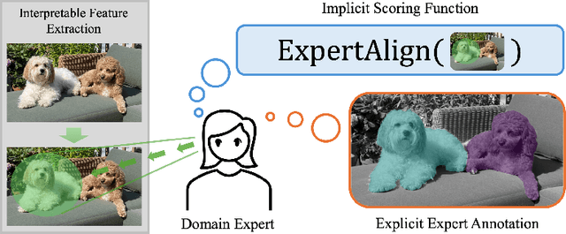 Figure 3 for The FIX Benchmark: Extracting Features Interpretable to eXperts