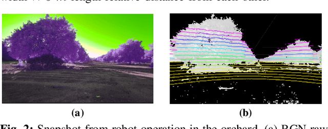 Figure 2 for On-the-Go Tree Detection and Geometric Traits Estimation with Ground Mobile Robots in Fruit Tree Groves