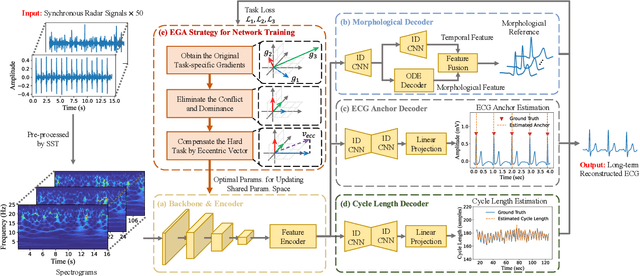 Figure 3 for radarODE-MTL: A Multi-Task Learning Framework with Eccentric Gradient Alignment for Robust Radar-Based ECG Reconstruction