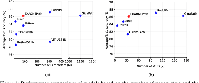 Figure 1 for Enhancing Whole Slide Pathology Foundation Models through Stain Normalization