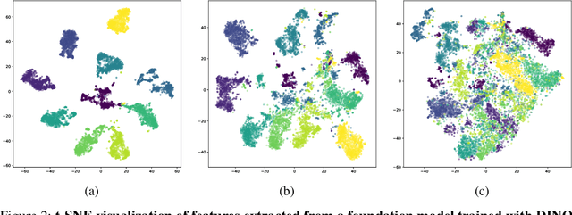 Figure 3 for Enhancing Whole Slide Pathology Foundation Models through Stain Normalization