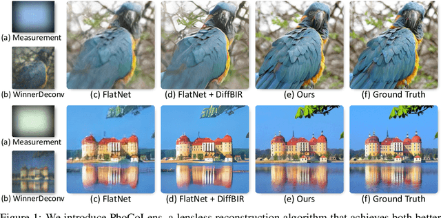 Figure 1 for PhoCoLens: Photorealistic and Consistent Reconstruction in Lensless Imaging