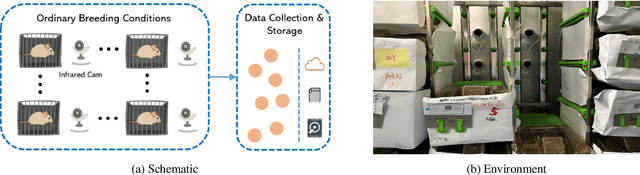 Figure 3 for EPIDetect: Video-based convulsive seizure detection in chronic epilepsy mouse model for anti-epilepsy drug screening