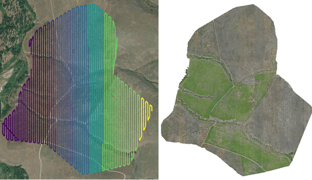 Figure 3 for Leafy Spurge Dataset: Real-world Weed Classification Within Aerial Drone Imagery