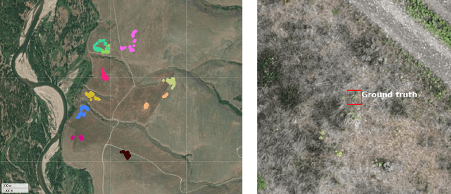 Figure 4 for Leafy Spurge Dataset: Real-world Weed Classification Within Aerial Drone Imagery