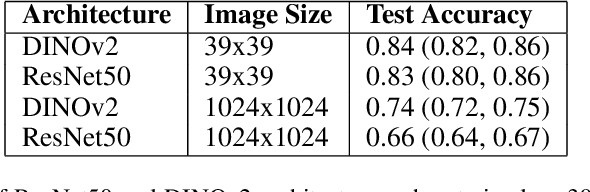 Figure 2 for Leafy Spurge Dataset: Real-world Weed Classification Within Aerial Drone Imagery