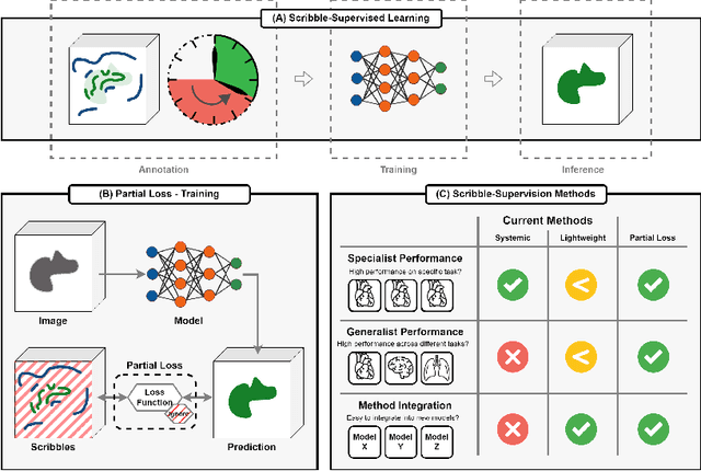 Figure 1 for Embarrassingly Simple Scribble Supervision for 3D Medical Segmentation