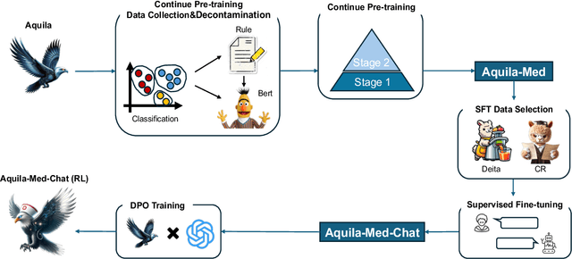 Figure 1 for Aqulia-Med LLM: Pioneering Full-Process Open-Source Medical Language Models