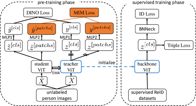 Figure 2 for PersonViT: Large-scale Self-supervised Vision Transformer for Person Re-Identificat