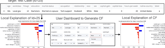 Figure 3 for FairLay-ML: Intuitive Debugging of Fairness in Data-Driven Social-Critical Software