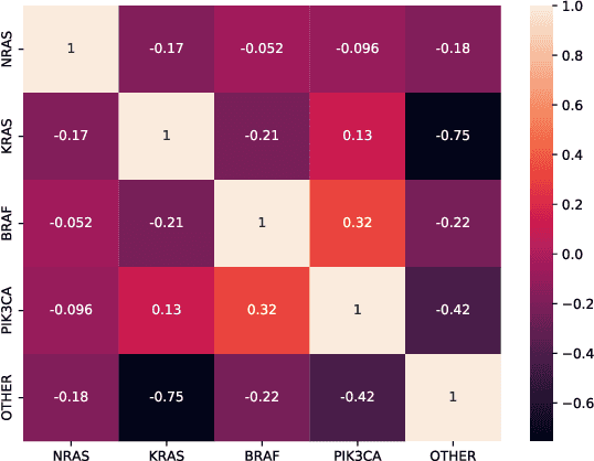 Figure 1 for Exploiting Liver CT scans in Colorectal Carcinoma genomics mutation classification